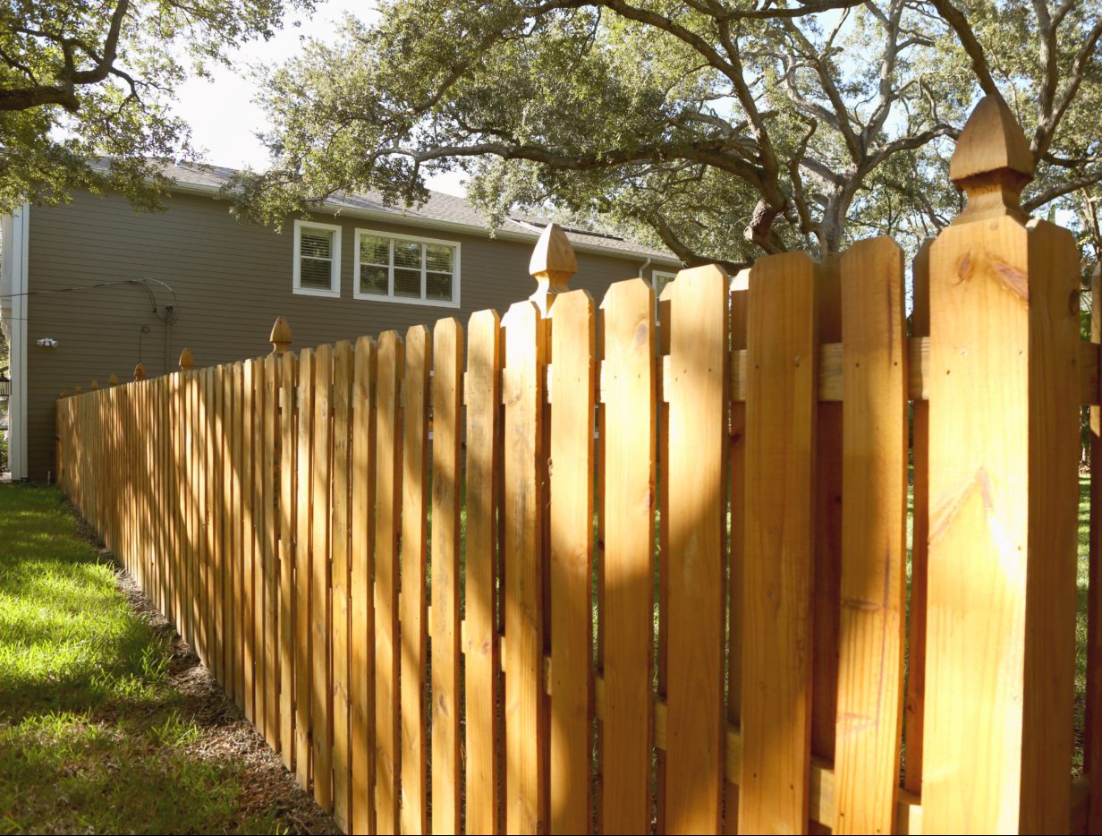 Hàng rào cách tường nhà